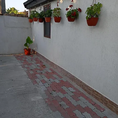 Casa Gheorghe Apartment Balabancea Exterior photo