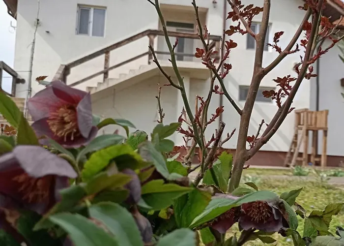 Casa Gheorghe