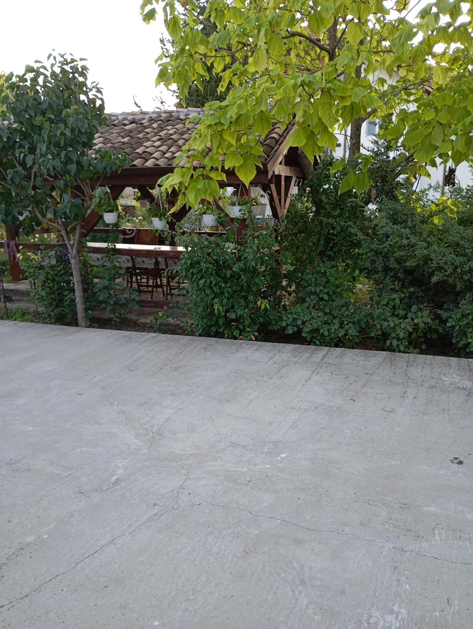 Casa Gheorghe Homestay Balabancea