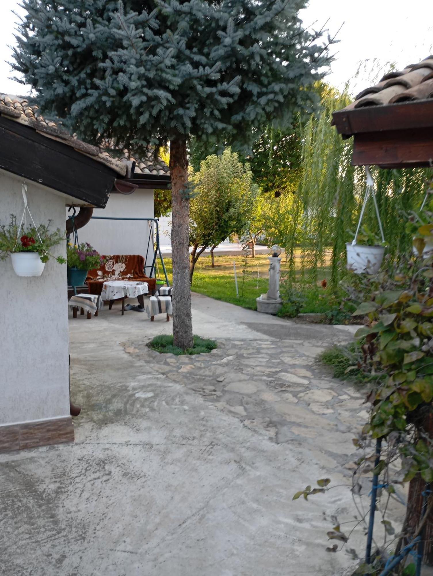 Casa Gheorghe Homestay