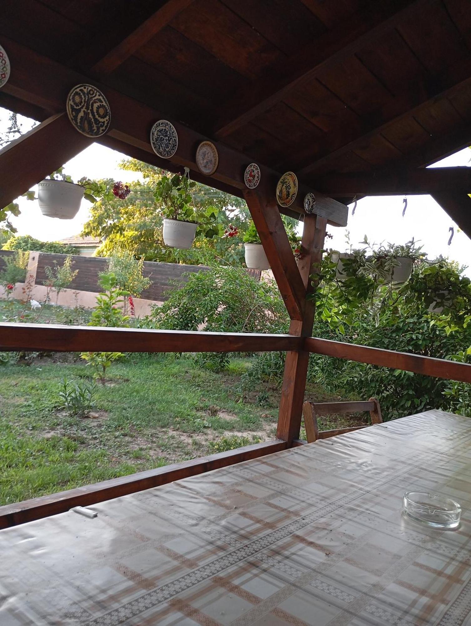 Homestay Casa Gheorghe Balabancea