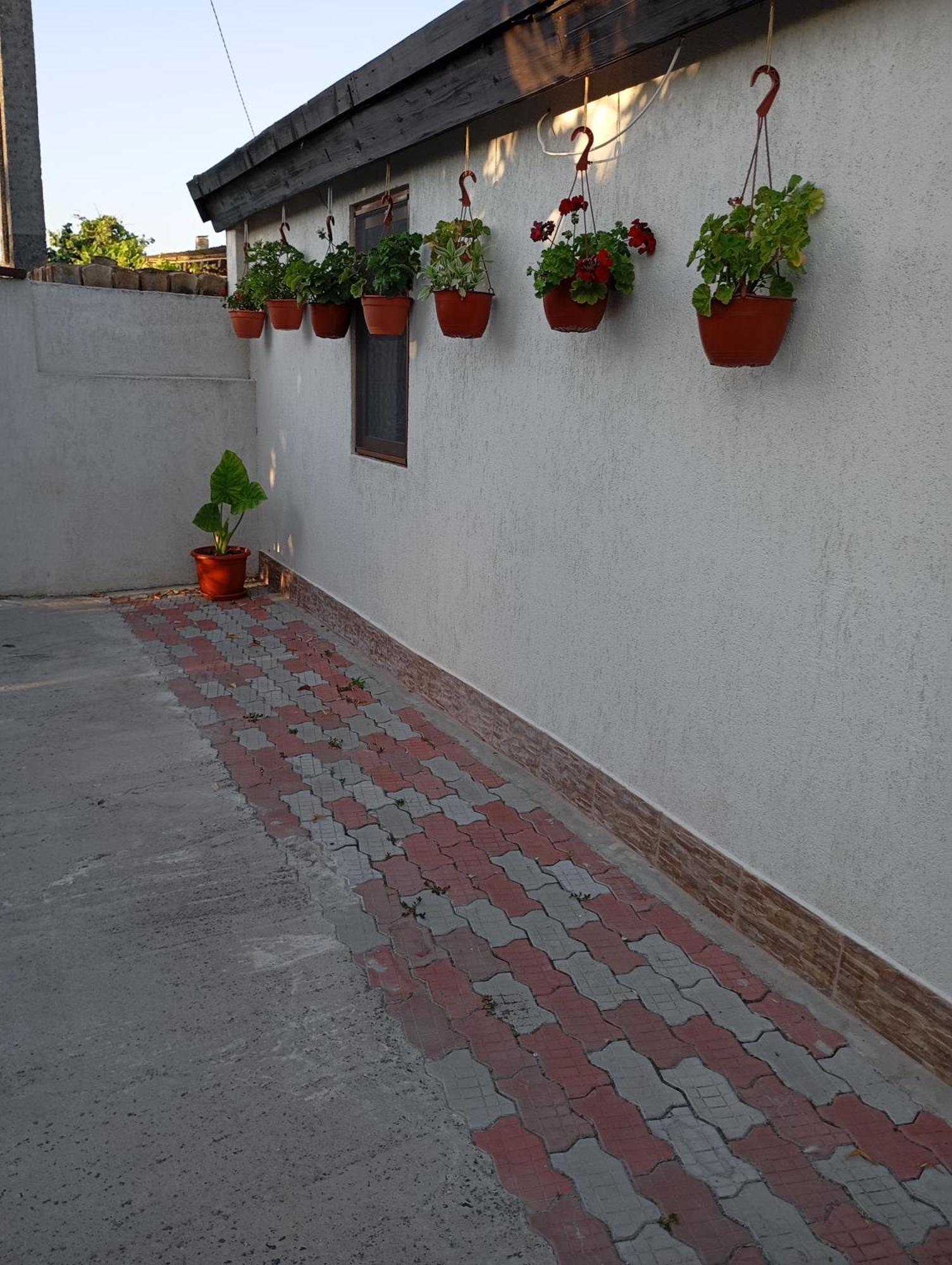 Casa Gheorghe * Balabancea