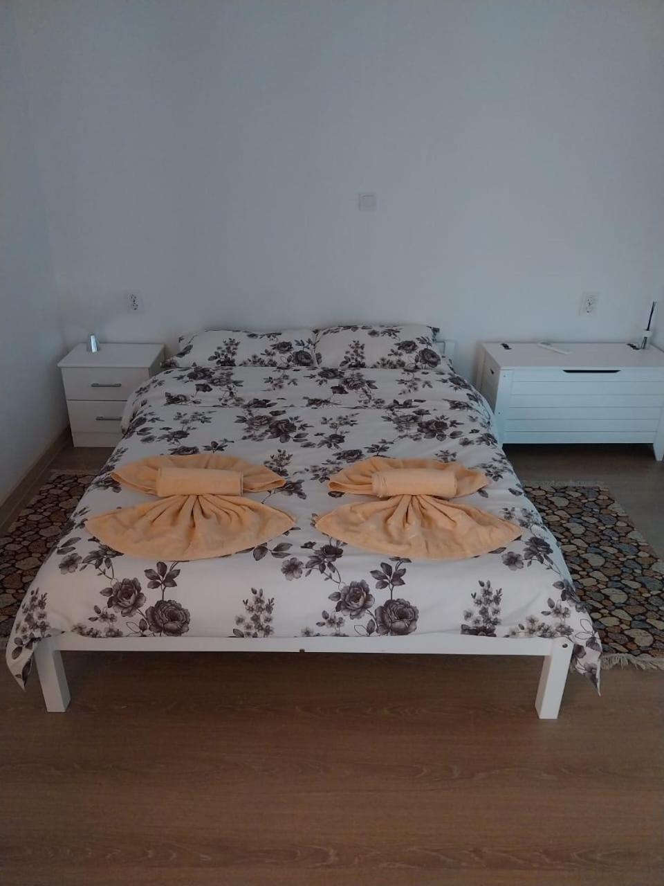 Homestay Casa Gheorghe Balabancea