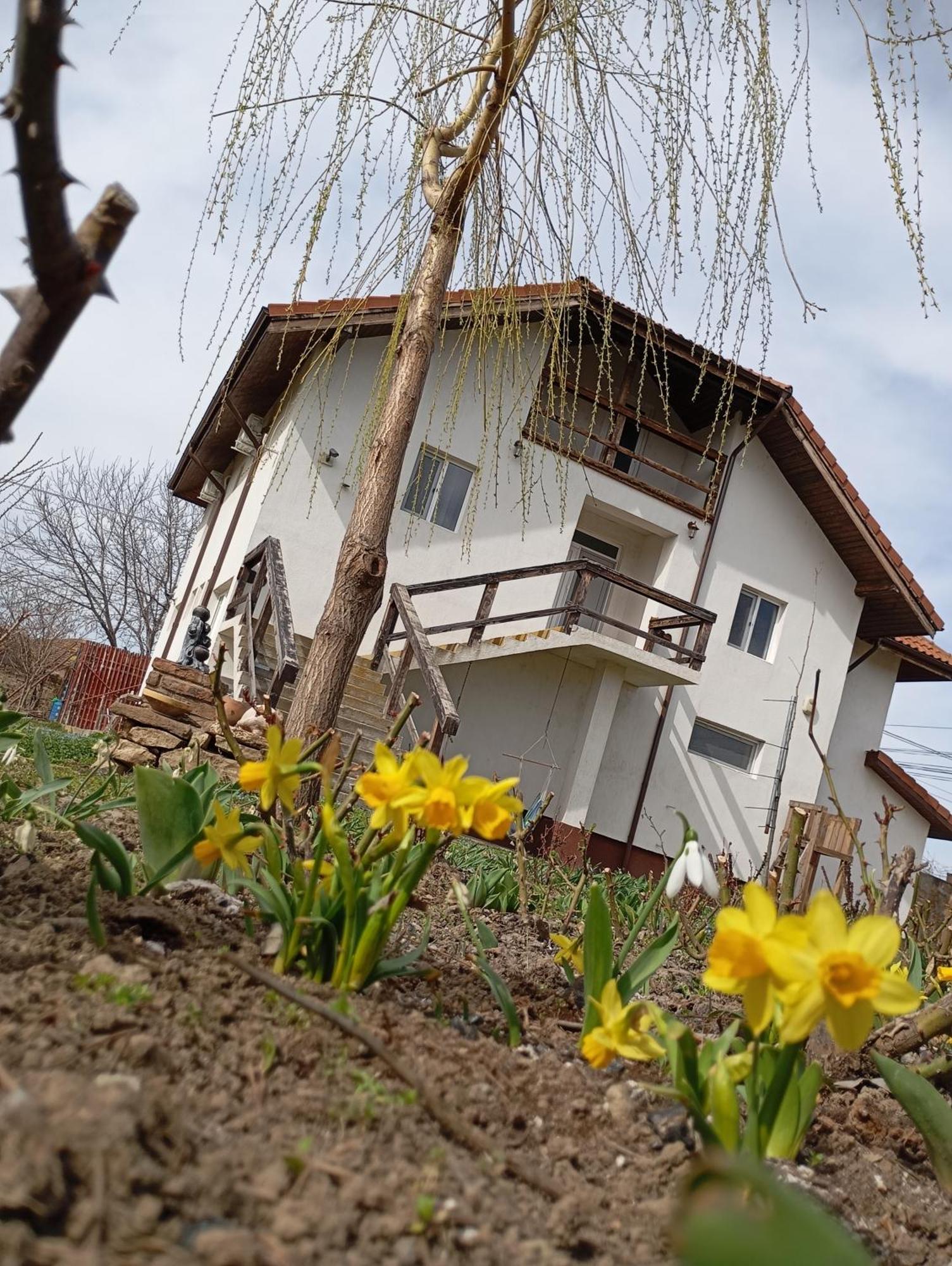 Casa Gheorghe * Balabancea